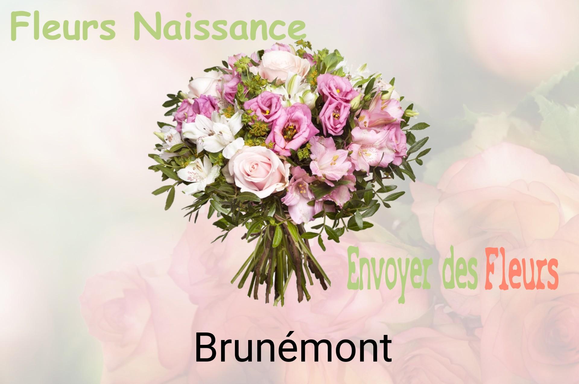 Bouquet de fleurs de naissance livré à Brunémont